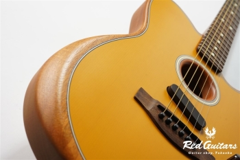 Acoustasonic Player Telecaster - Butterscotch Blonde